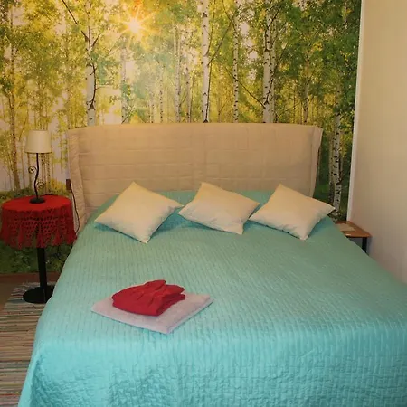 Artistic House Bed & Breakfast *